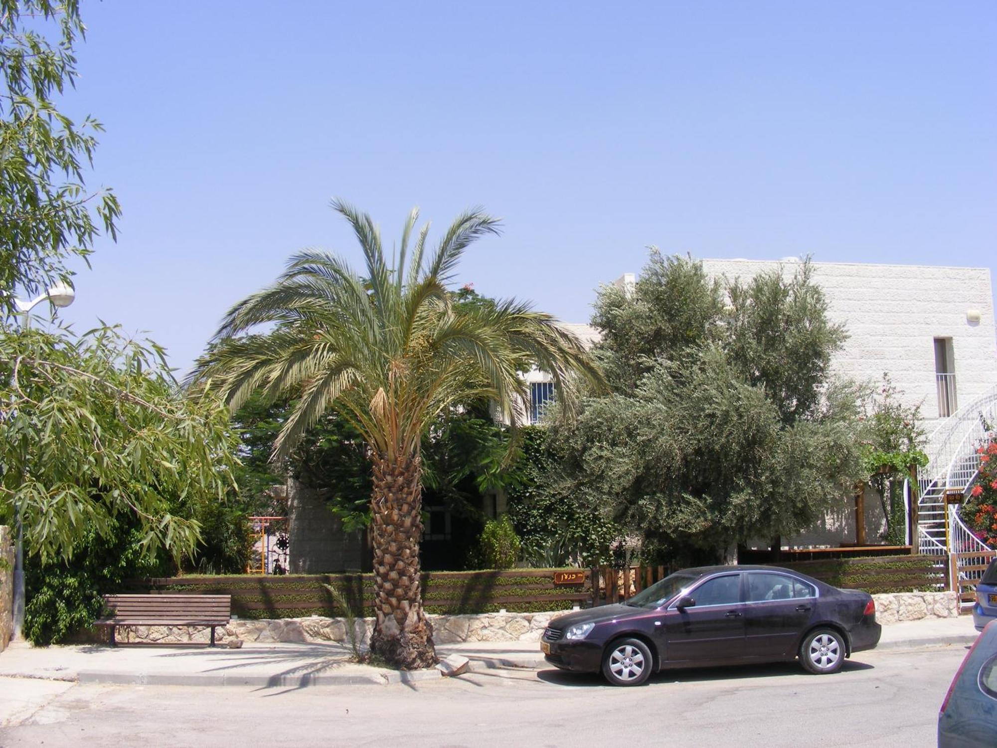 Nof Canaan Kfar Adumim Zewnętrze zdjęcie